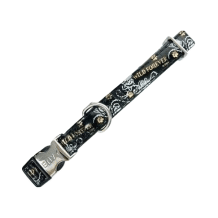 زولكس "انفي وايلد فوريفر" طوق للكلاب 15 مم  أسود