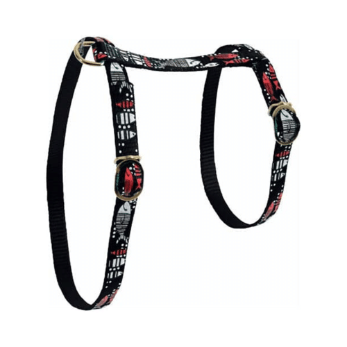 3336027101725 زولكس صدرية نايلون للقطط رسمة سمك 10مم  أسود - الصورة 1