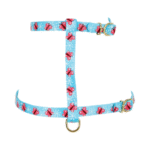 زولكس صدرية نايلون للقطط رسمة فراشة 10مم أزرق