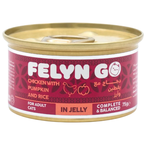 6281001157014 فيلاين قو طعام كامل معلبات دجاج مع اليقطين والأرز في الجيلي 75غ - الصورة 1