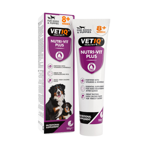 750826005498 مارك اند شابل معجون غني بالفيتامين للكلاب 100غ - الصورة 1