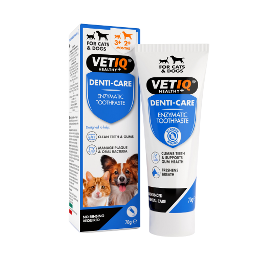 750826006662 مارك اند شابل دينتي كير معجون أسنان إنزيمي 70غ - الصورة 1