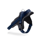 ماي فاميلي ميمو بت صدرية كحلي للكلاب كبير