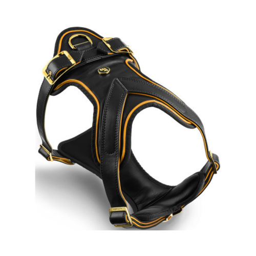 8051938217369 ماي فاميلي تراث صدرية جلد اسود و ذهبي كبير جدا - الصورة 1