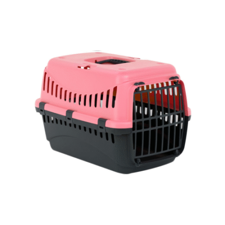 أم بي برغامو حامل تنقل صغير مرجاني