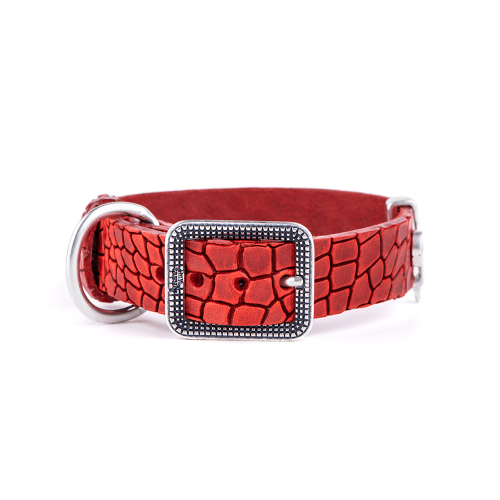 8058773277190 ماي فاميلي توكسون طوق جلد أحمر 36x2.2cm - الصورة 1