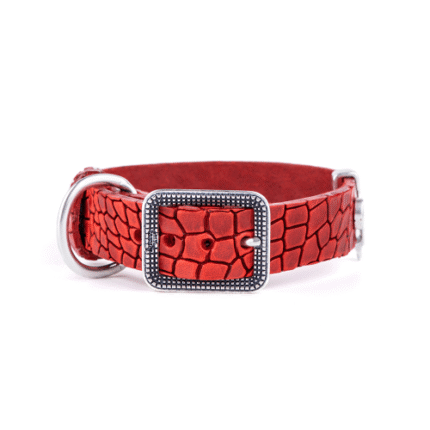 ماي فاميلي توكسون طوق جلد أحمر 45x2.8cm