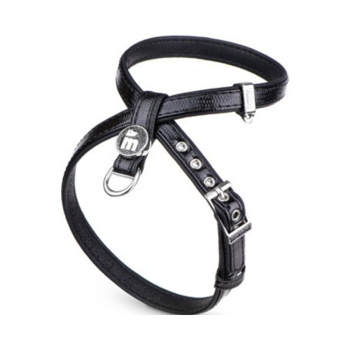 8059571850240 ماي فاميلي سان تروبيه صدرية اسود صغير - الصورة 1