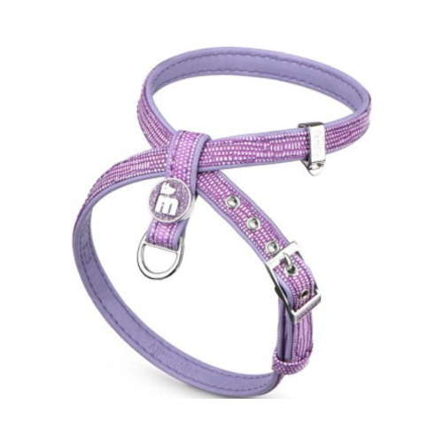 8059571850363 ماي فاميلي سان تروبيه صدرية ارجواني صغير - الصورة 1